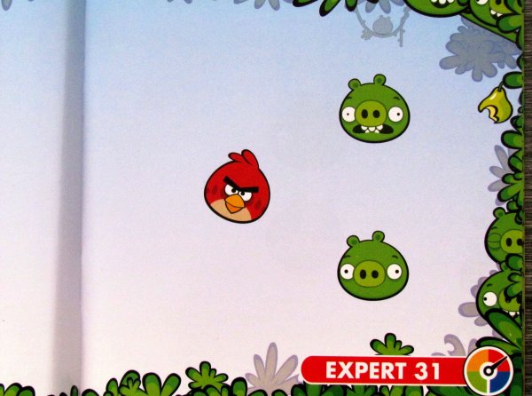 Angry Birds Playgrounds: Staveniště - zadání