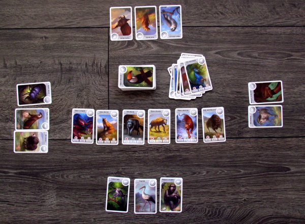 Cardline: Svět zvířat - rozehraná hra