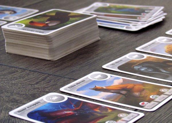 Cardline: Svět zvířat - rozehraná hra