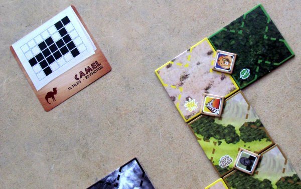 Board game review: DiceAFARI - game is ready Board game review: DiceAFARI - game is ready