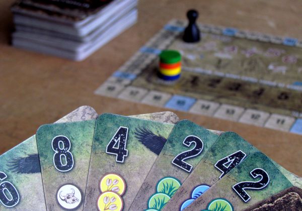 Dominant Species: Card Game - připravená hra