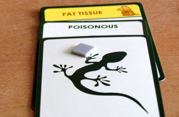 Foto: Review: Evolution - Origin of Species - genesis in cards Foto: Review: Evolution - Origin of Species - genesis in cards