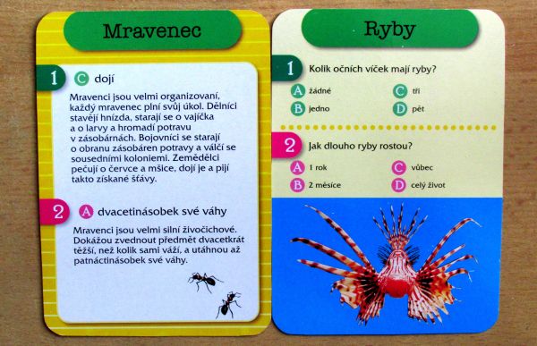 HRAvé knihy v plechovce - Dinosauři a Zvířata - karty