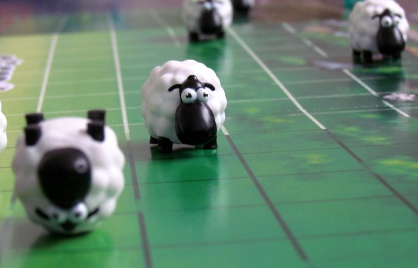 The Sheep Race - rozehraná hra