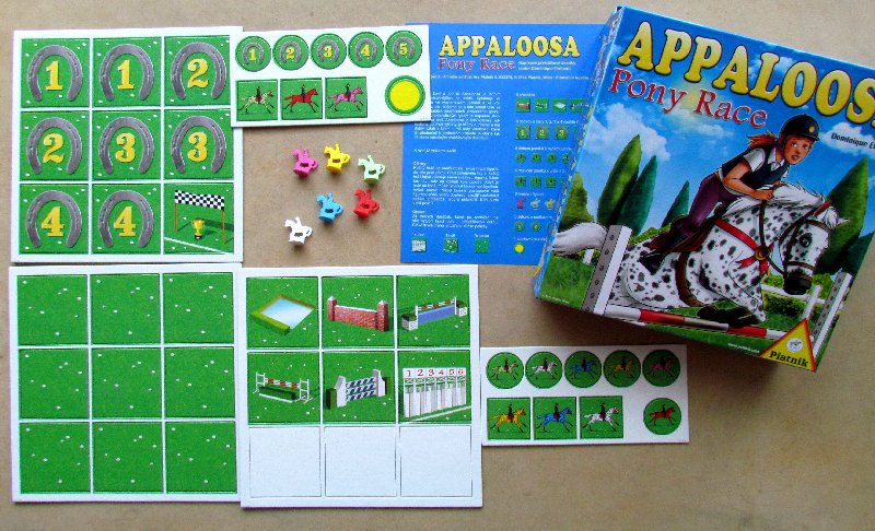 appaloosa-pony-race-18